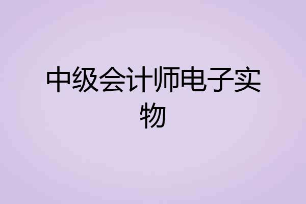 中级会计师电子实物