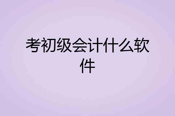 考初级会计什么软件