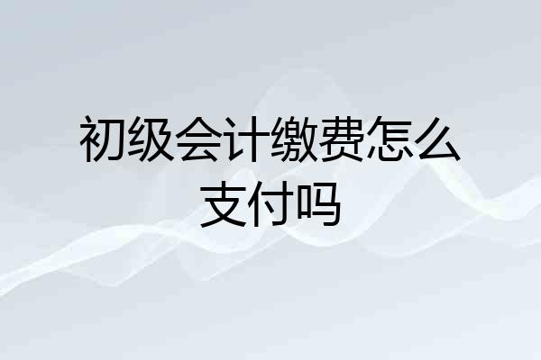 初级会计缴费怎么支付吗