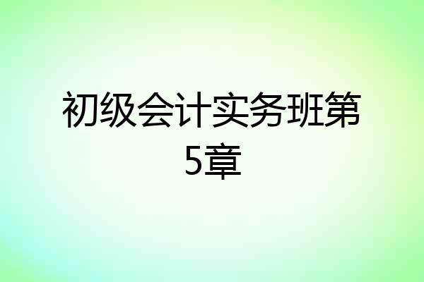 初级会计实务班第5章