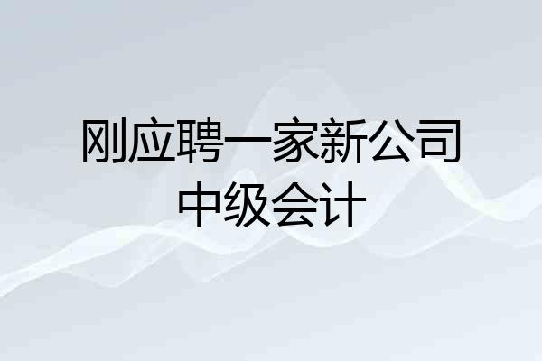 刚应聘一家新公司中级会计
