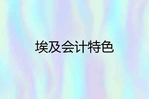 埃及会计特色