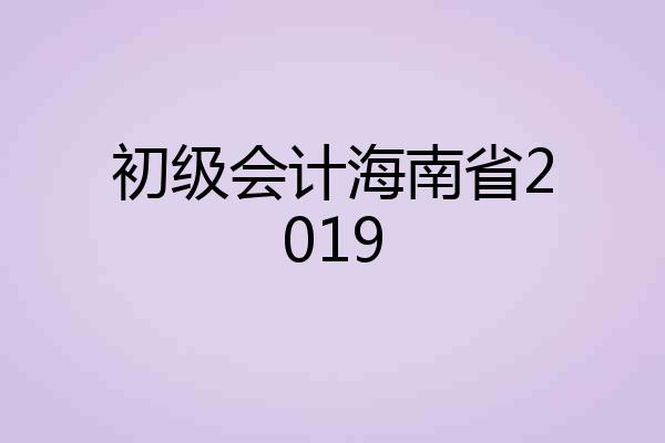 初级会计海南省2019