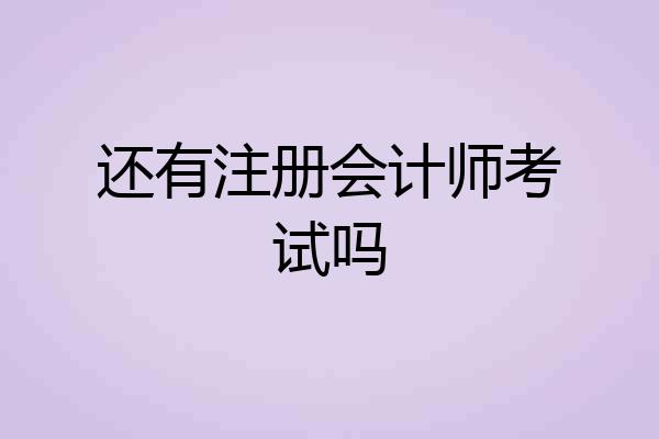 还有注册会计师考试吗