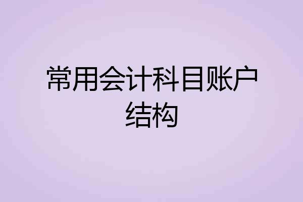常用会计科目账户结构