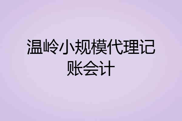 温岭小规模代理记账会计