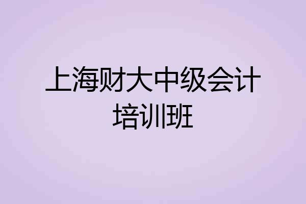 上海财大中级会计培训班