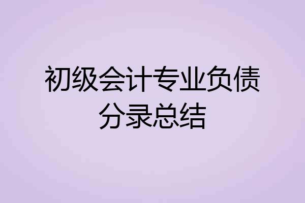 初级会计专业负债分录总结