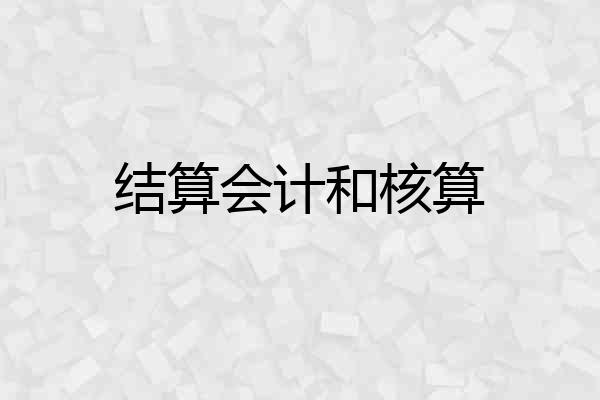结算会计和核算