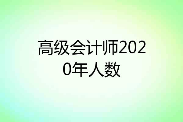 高级会计师2020年人数