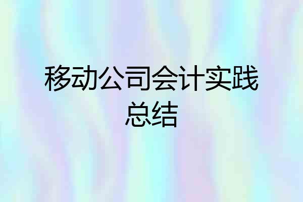 移动公司会计实践总结