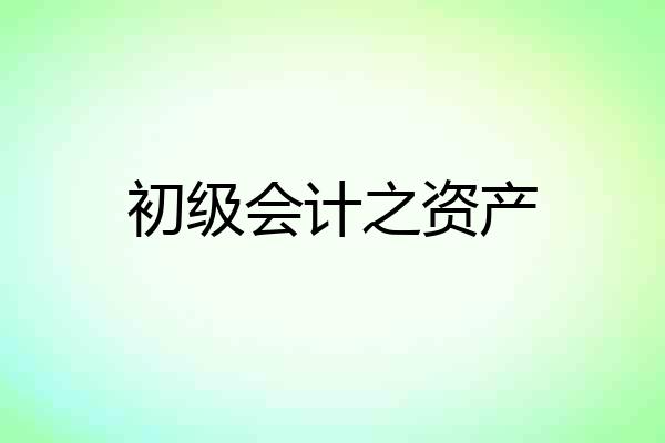 初级会计之资产