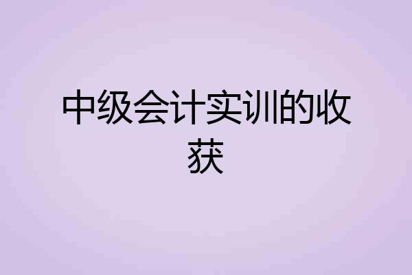 中级会计实训的收获