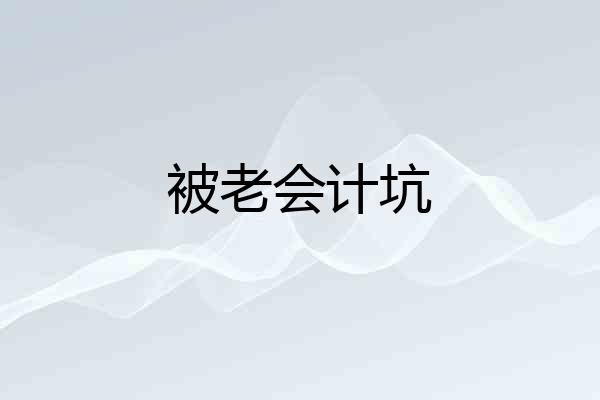 被老会计坑