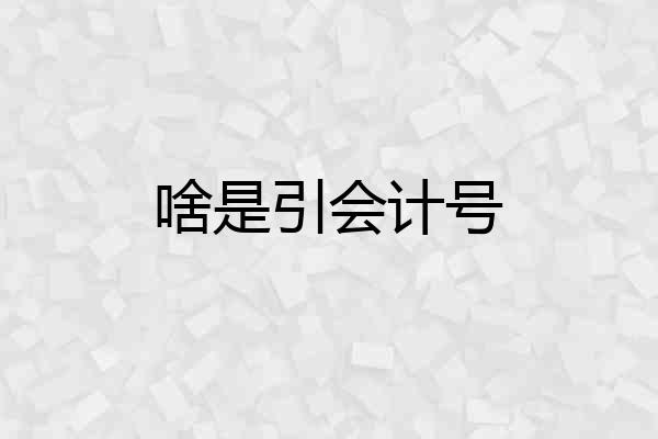 啥是引会计号