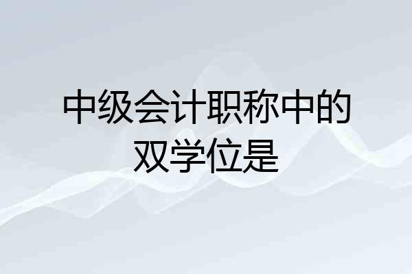 中级会计职称中的双学位是
