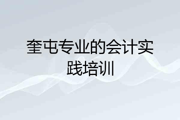 奎屯专业的会计实践培训