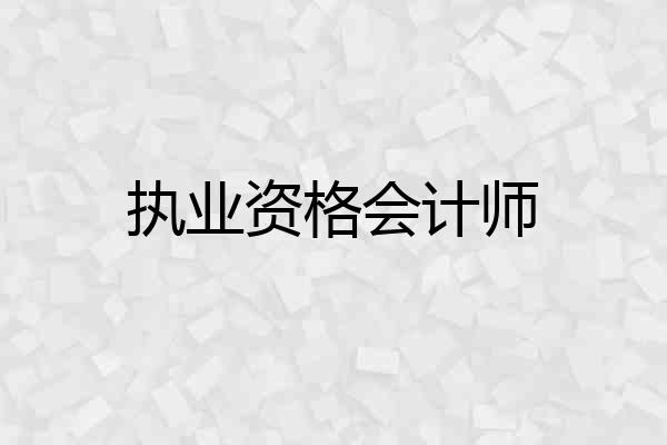 执业资格会计师