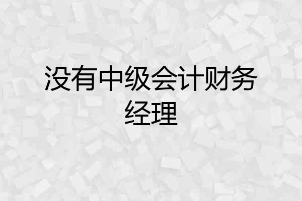 没有中级会计财务经理