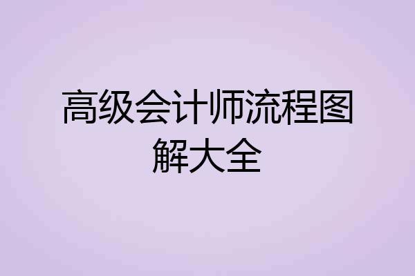 高级会计师流程图解大全