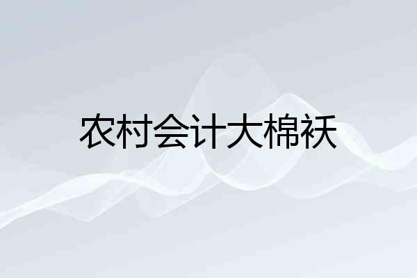 农村会计大棉袄
