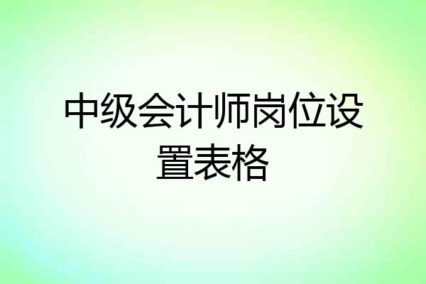 中级会计师岗位设置表格