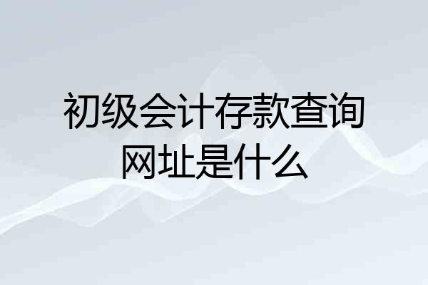初级会计存款查询网址是什么