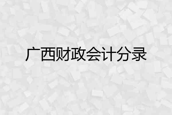 广西财政会计分录