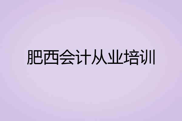 肥西会计从业培训