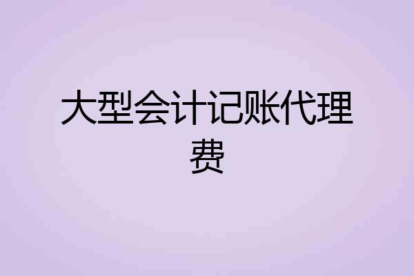 大型会计记账代理费