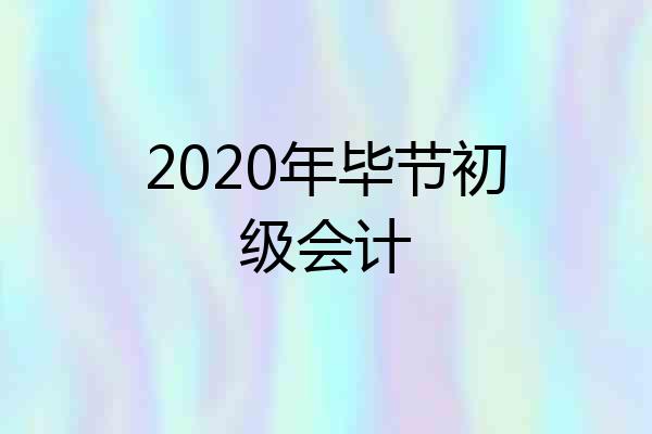 2020年毕节初级会计
