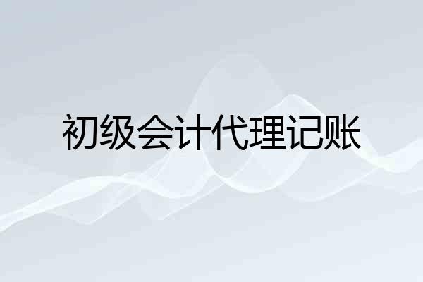 初级会计代理记账