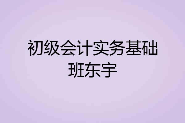 初级会计实务基础班东宇