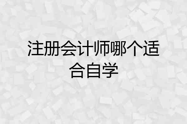 注册会计师哪个适合自学