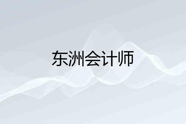东洲会计师