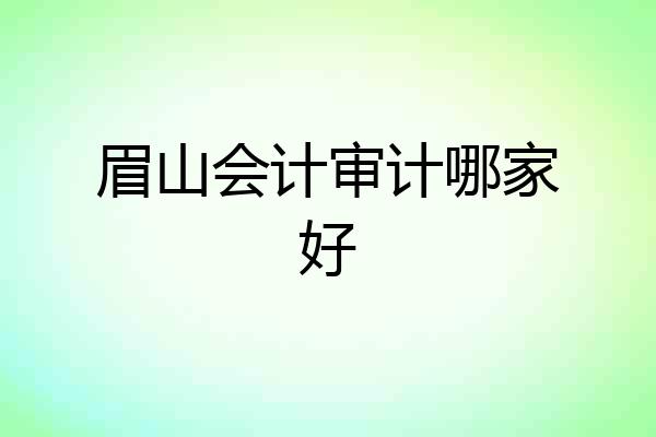 眉山会计审计哪家好