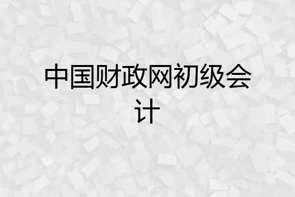 中国财政网初级会计