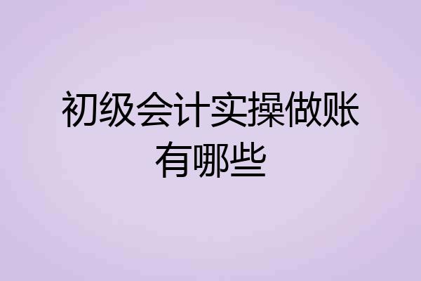 初级会计实操做账有哪些
