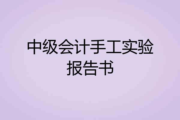 中级会计手工实验报告书