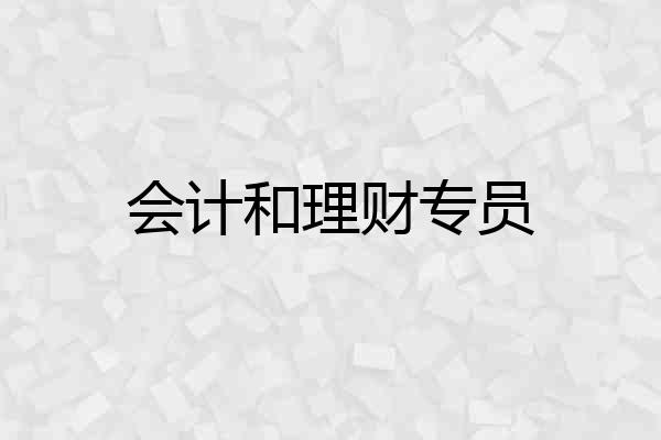 会计和理财专员