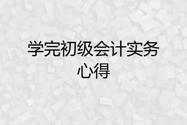学完初级会计实务心得