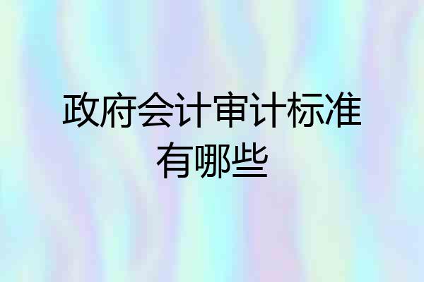 政府会计审计标准有哪些