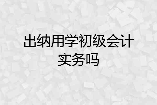 出纳用学初级会计实务吗