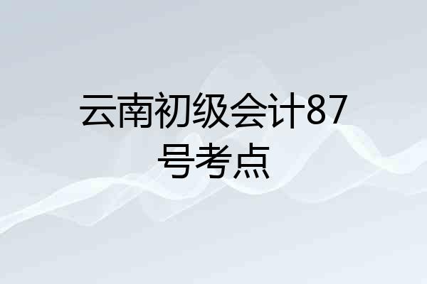云南初级会计87号考点