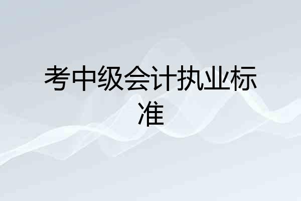 考中级会计执业标准