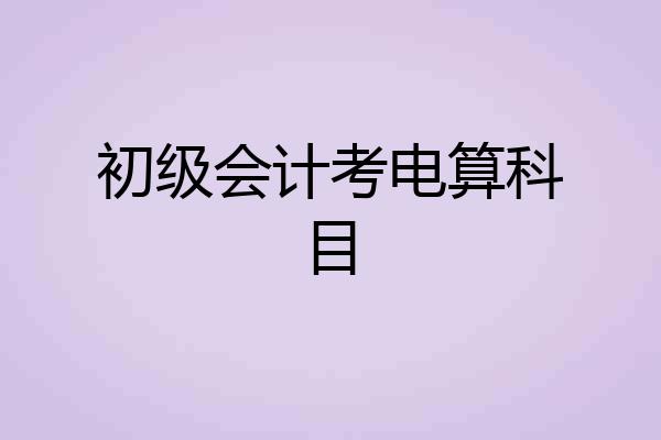 初级会计考电算科目