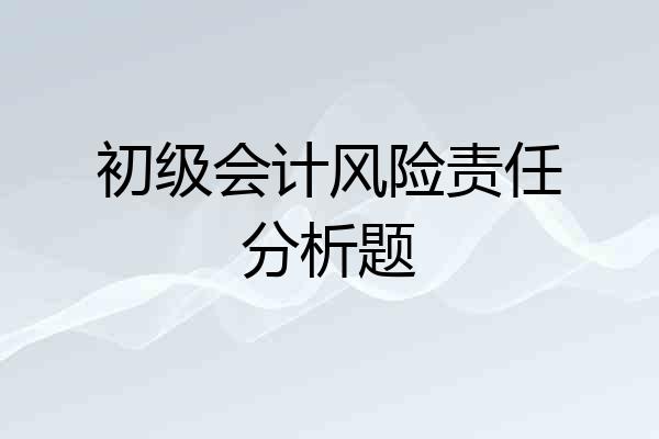 初级会计风险责任分析题