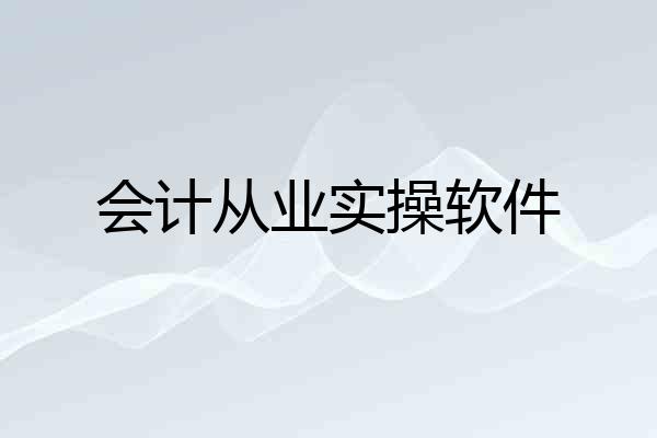 会计从业实操软件
