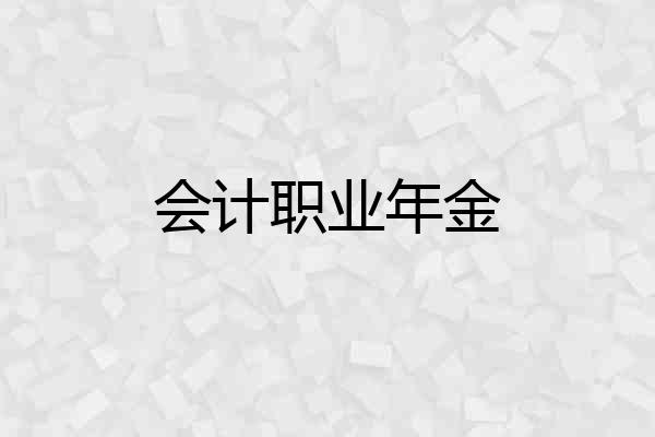 会计职业年金