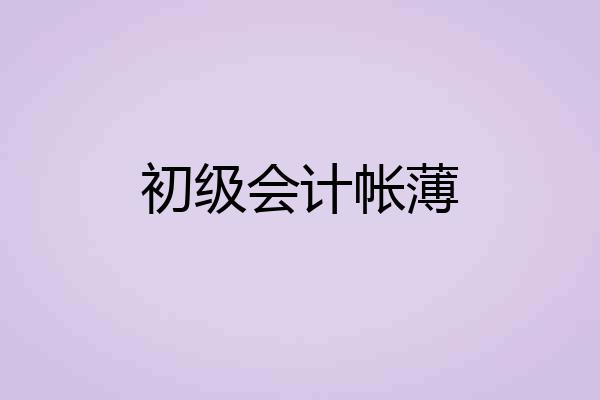 初级会计帐薄